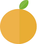Orange SVG Icon
